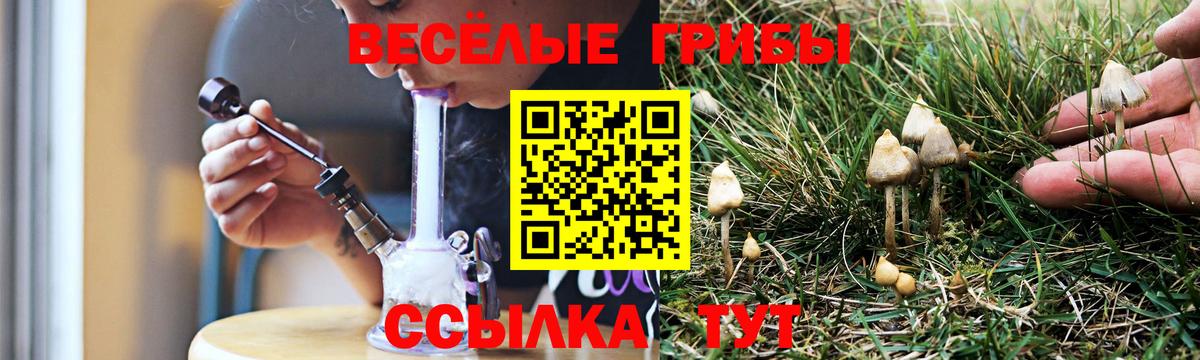 Псилоцибиновые грибы мицелий  что такое   Галлюциногенные грибы Cubensis  Волгодонск  Вход с VPN 
